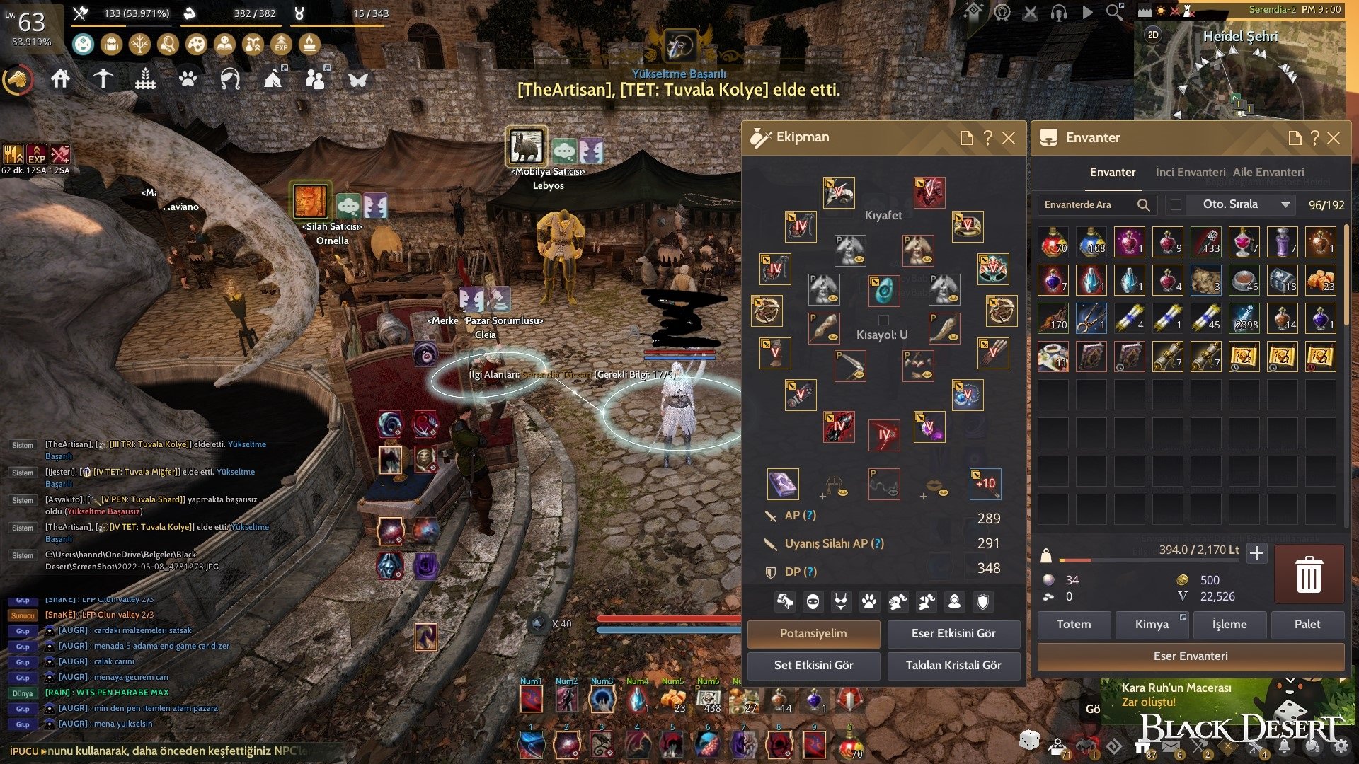 Black Desert Online Türkiye/MENA Bölgesi Black Desert Online / Accoun