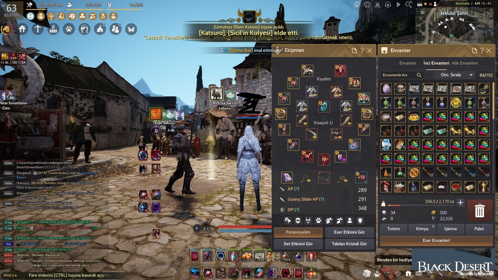 Black Desert Online Türkiye/MENA Bölgesi Black Desert Online / Accoun