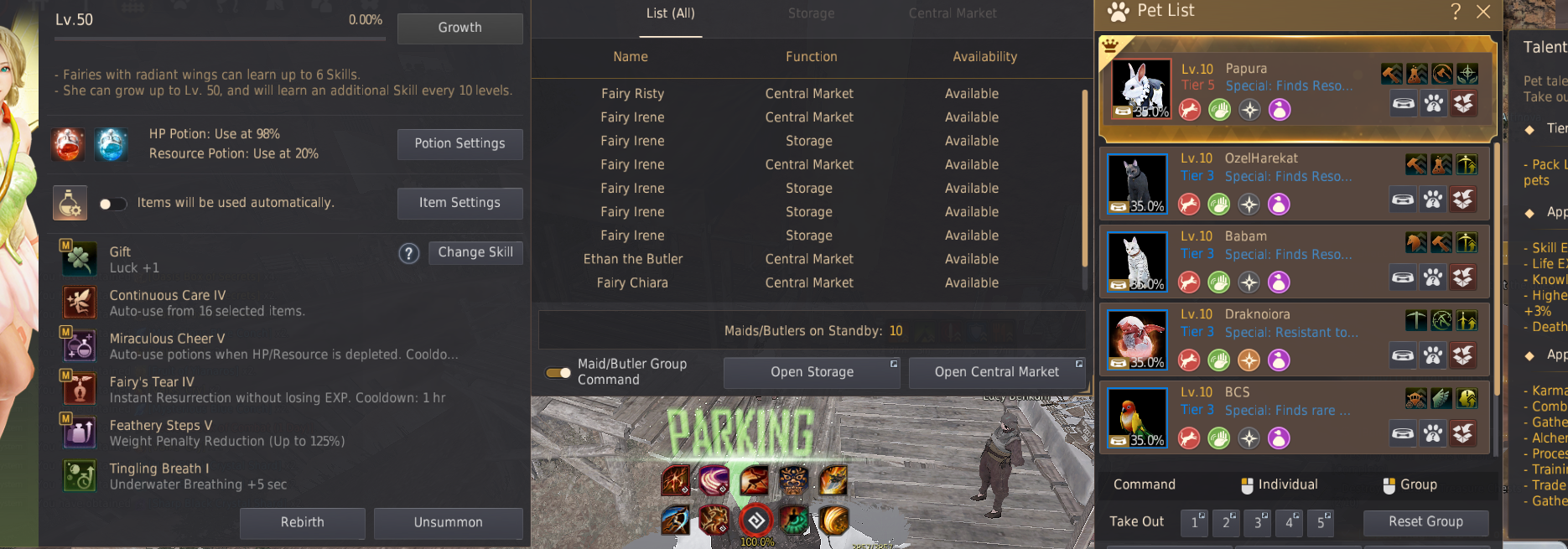 Black Desert Online Türkiye/MENA Bölgesi EU Server Gelişim Hesabı (SI