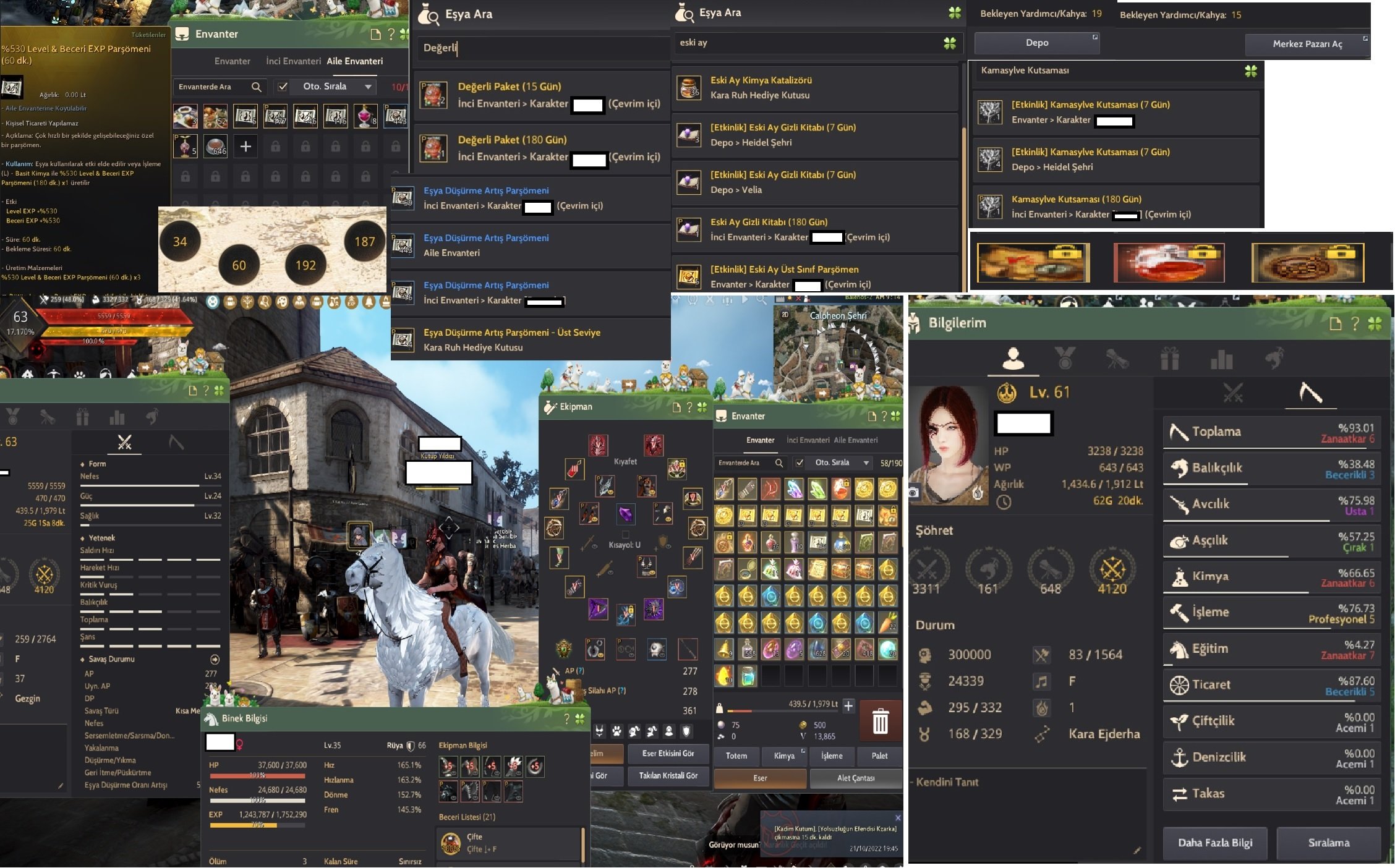 Black Desert Online Türkiye/MENA Bölgesi [MENA CLİENT] 63 LEVEL PUSUL