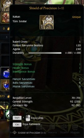 Shield Of Precision 1