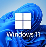 Windows 11