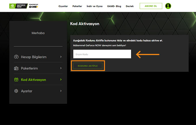 GeForce Now Game Plus - 4