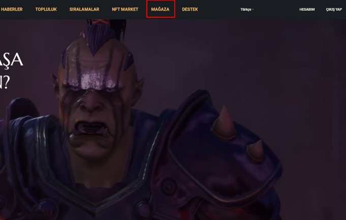 Rise Online Cash Nasıl Yüklenir - 3