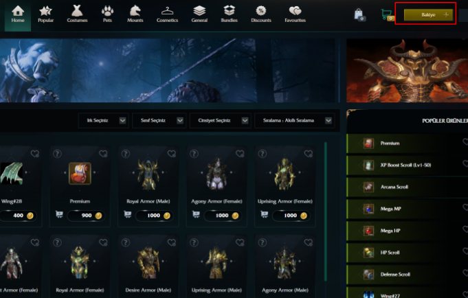 Rise Online Cash Nasıl Yüklenir - 4