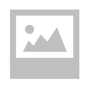 Land of the Vikings Steam Key