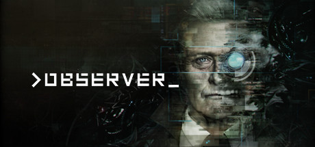 >observer 