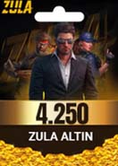 4250 Zula Altın