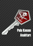 Pala Kasası Anahtarı
