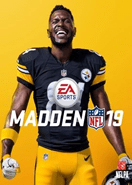 Madden NFL 19 Origin Key