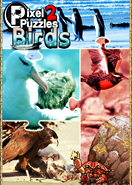 Pixel Puzzles 2 Birds PC Key