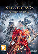 Shadows Awakening PC Key