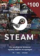 Steam Cüzdan Kodu 100 USD