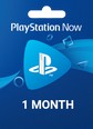 PlayStation Now US Card 1 Month